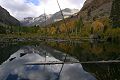 Beaver pond in Lundy Canyon