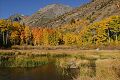 Beaver pond reflection - Lundy Canyon