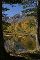 Beaver pond reflection - Lundy Canyon