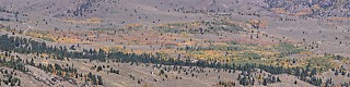 Aspens above Pickel Meadow