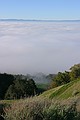 Monument Peak surrounded by low fog