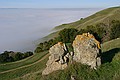 Monument Peak surrounded by low fog