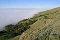 Monument Peak surrounded by low fog