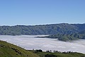 Monument Peak surrounded by low fog