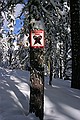 Snowshoe trail