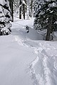 Snowshoe trail