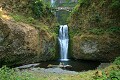 Lower Multnomah Falls