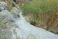 Darwin Falls Trail, Death Valley N.P.