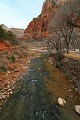 Virgin River