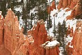 Bryce Point Hoodoos