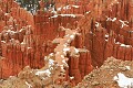 Bryce Point Hoodoos