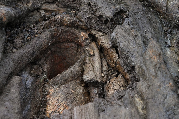 Pauahi Crater (lava flow of 1978)