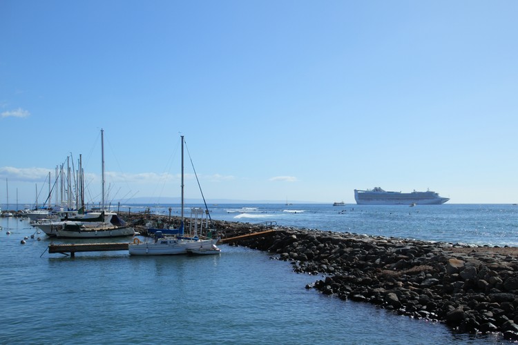 Lahaina harbor