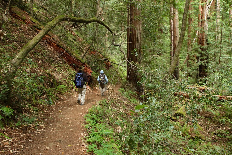Josh and Diane hike the Skyline-to-the-Sea Trail
