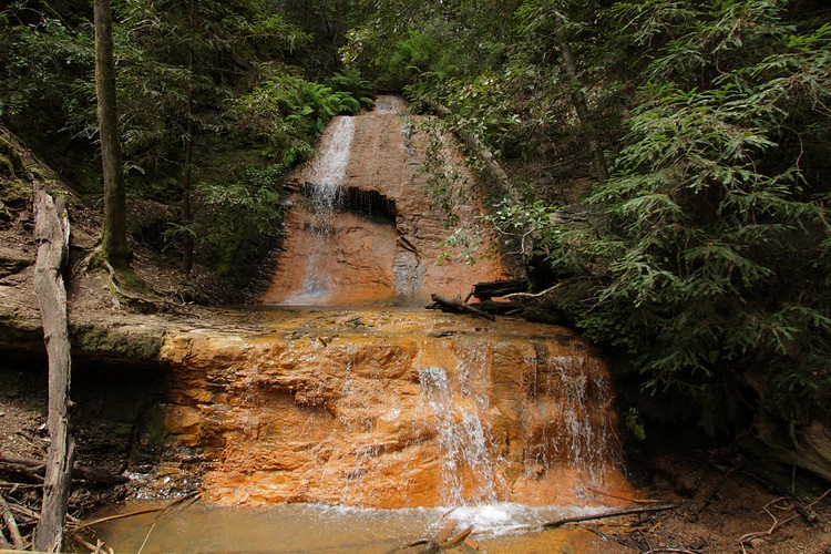 Golden Cascades