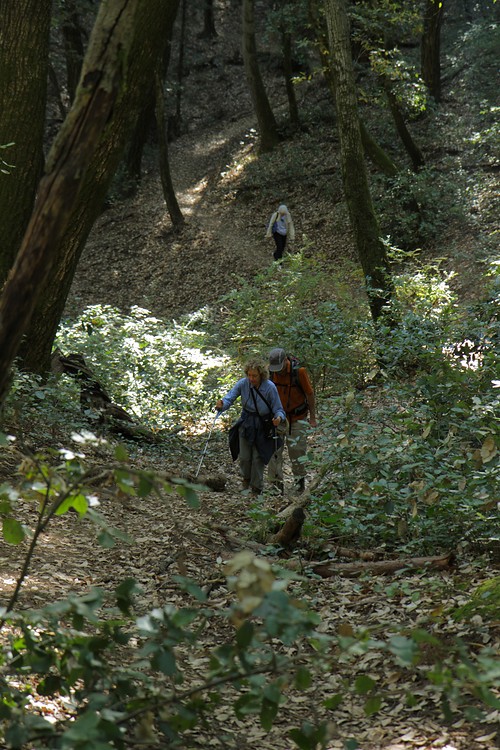 Sue and Randy on the Skyline Trail