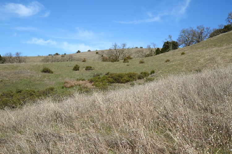 Montebello Open Space Preserve
