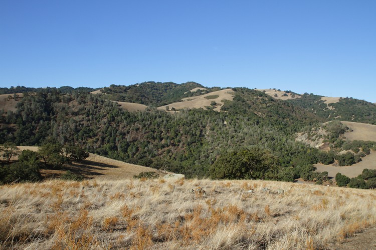 Sunol Regional Park