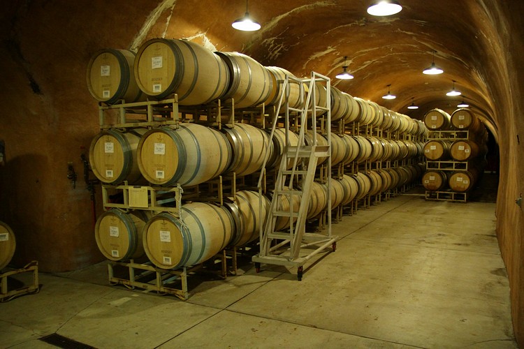 Benzinger cellar