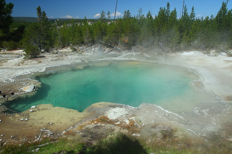 Emerald Spring