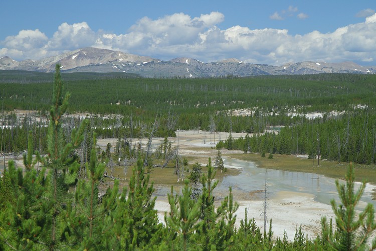 Norris Geyser Basin