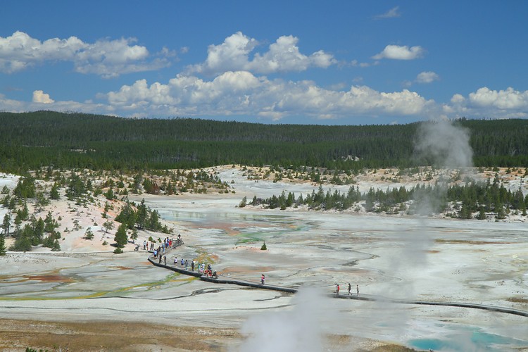 Norris Geyser Basin