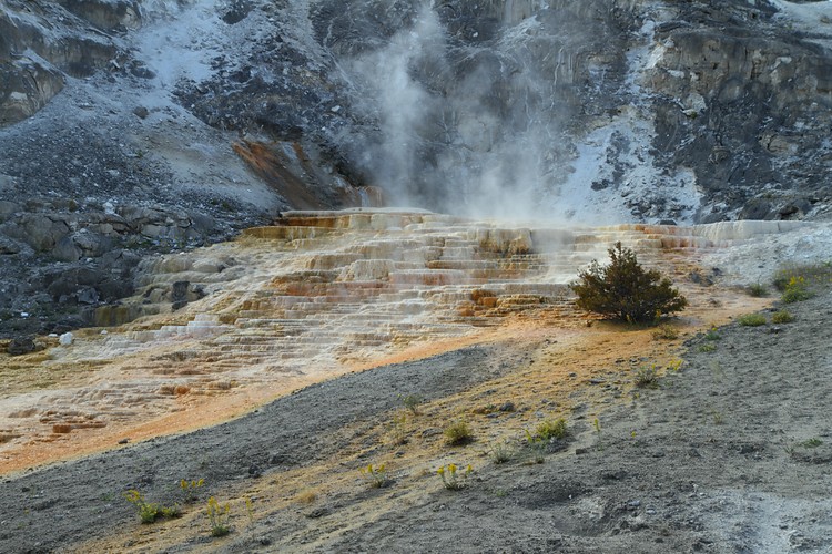 Mammoth Hot Springs