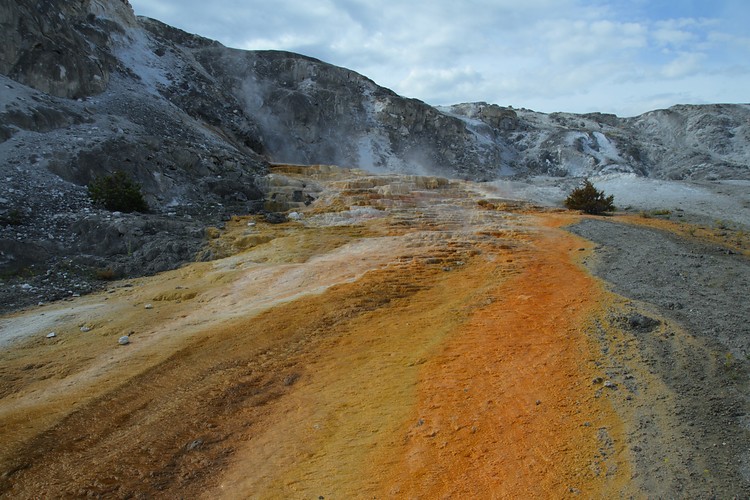 Mammoth Hot Springs