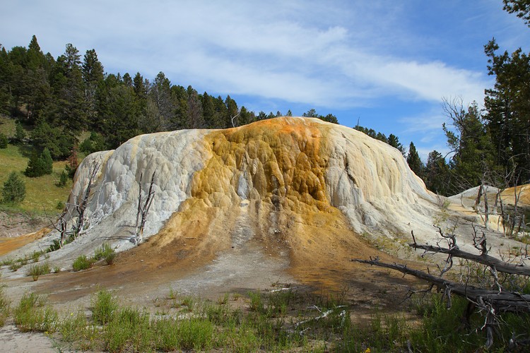Mammoth Hot Springs