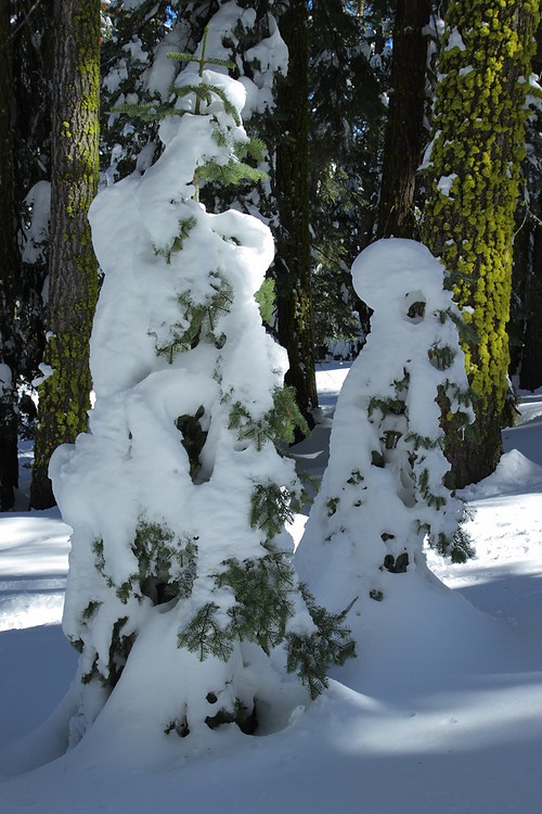 Tree figures