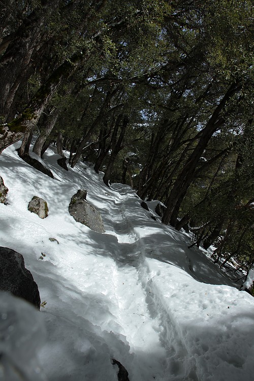 Upper Yosemite Falls Trail