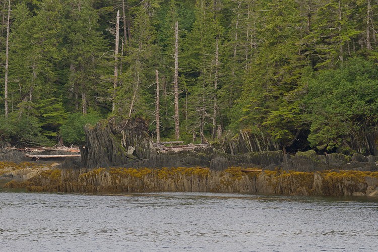 Iged Island Shoreline