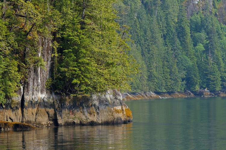 Shoreline of Rudyerd Bay