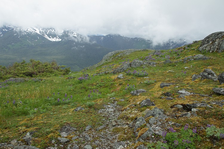 Douglas Island (background)
