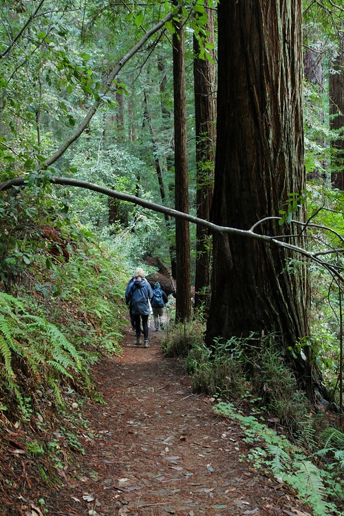Skyline to the Sea Trail