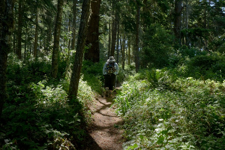 Diane hikes the A�o Nuevo trail