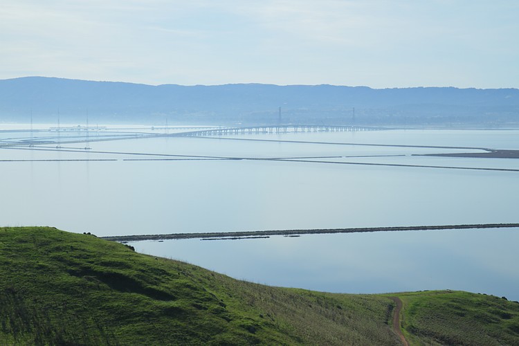 Dumbarton Bridge from Coyote Hills
