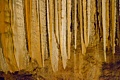 Shasta Caverns