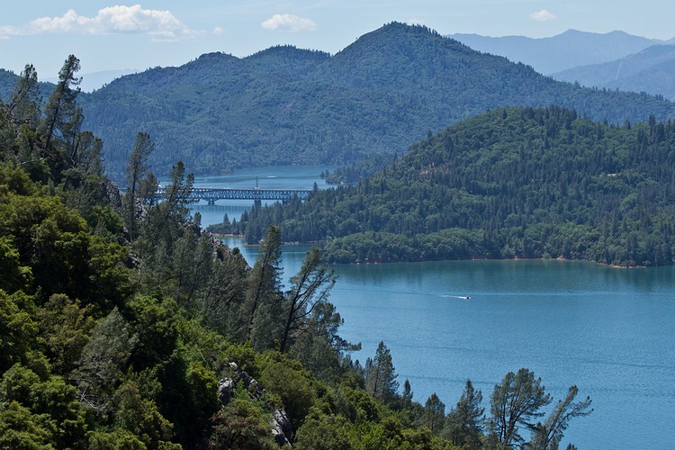 Lake Shasta