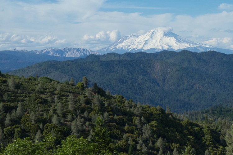 Mount Shasta