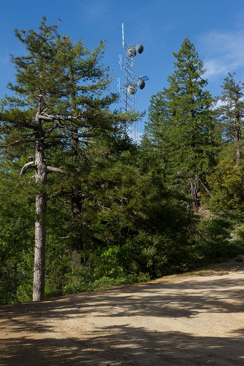 Antennae on Sugarloaf