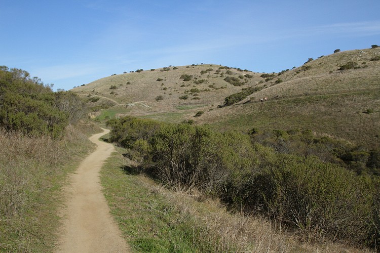 Bay Area Ridge Trail