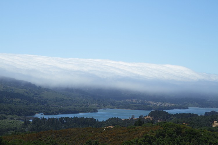 S. F. Peninsula Fog Cascade