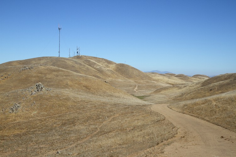Mount Allison antennas