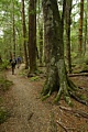 Kepler Track