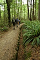 Kepler Track