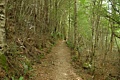 Kepler Track