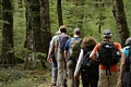 Kepler Track trekkers