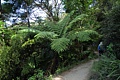 Abel Tasman Track