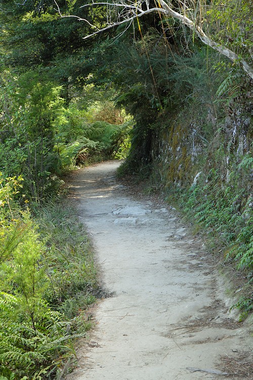 Abel Tasman Track